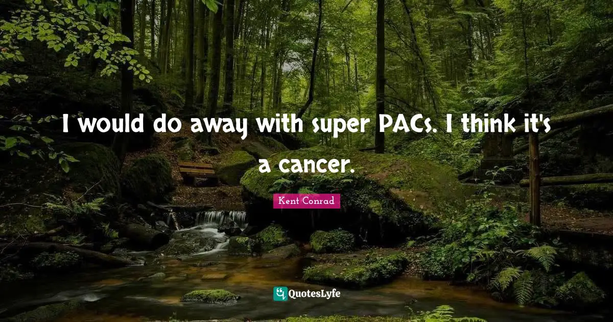 I would do away with super PACs. I think it's a cancer.