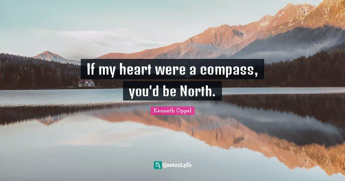 If my heart were a compass, you'd be North.