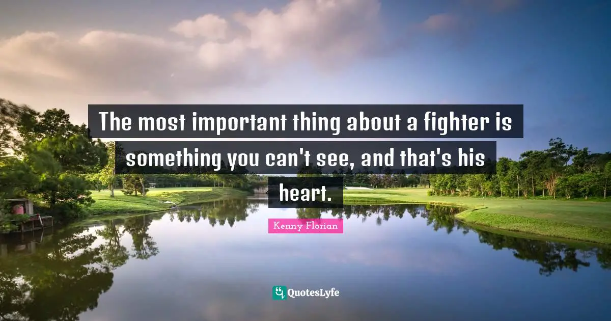 The most important thing about a fighter is something you can't see, and that's his heart.