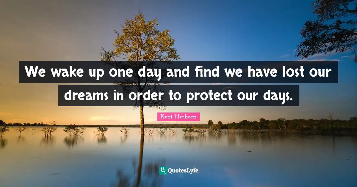We wake up one day and find we have lost our dreams in order to protect our days.