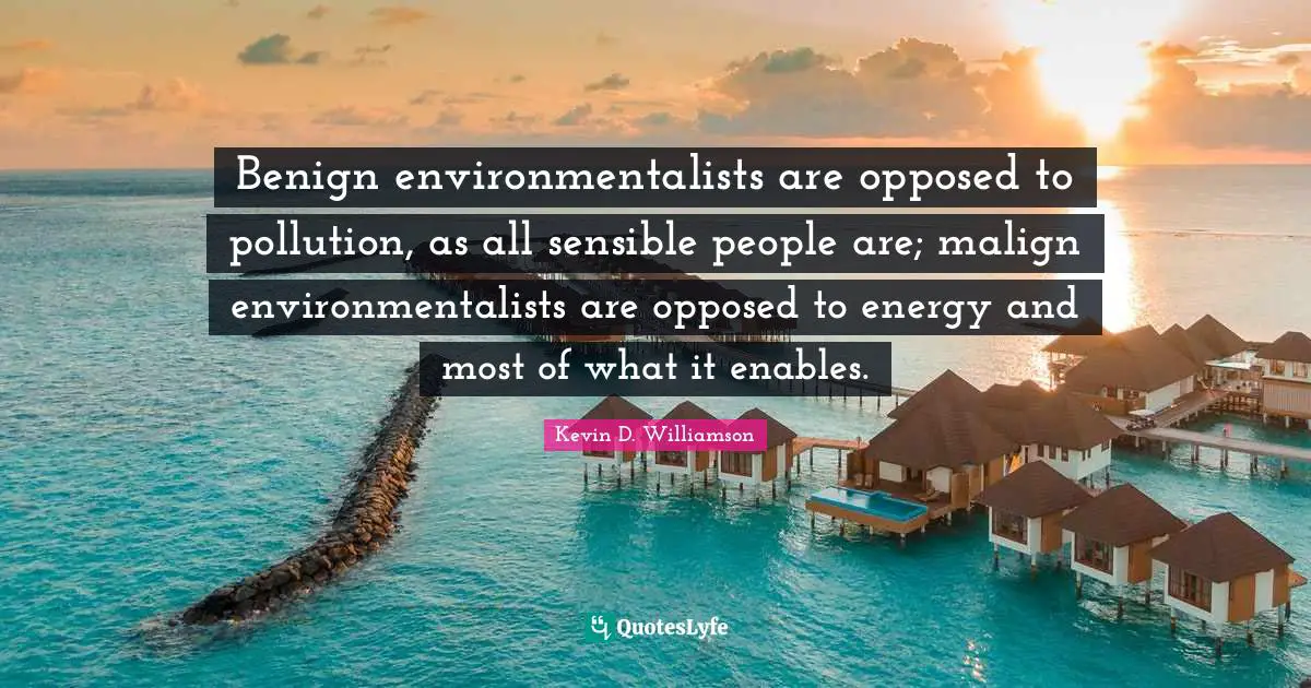 Benign environmentalists are opposed to pollution, as all sensible people are; malign environmentalists are opposed to energy and most of what it enables.