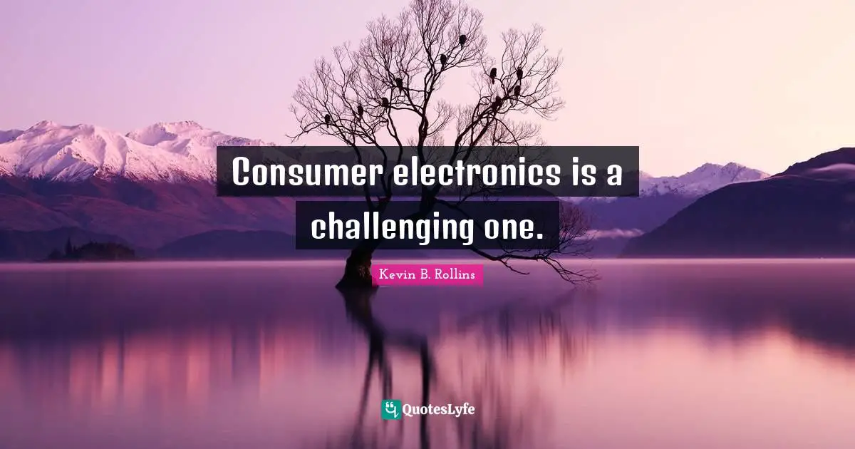 Consumer electronics is a challenging one.