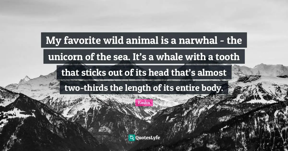 My favorite wild animal is a narwhal - the unicorn of the sea. It’s a whale with a tooth that sticks out of its head that’s almost two-thirds the length of its entire body.