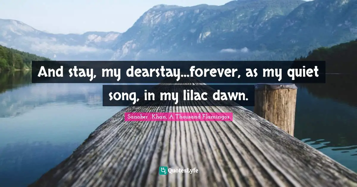 Sanober  Khan, A Thousand Flamingos Quotes: And stay, my dearstay...forever, as my quiet song, in my lilac dawn.