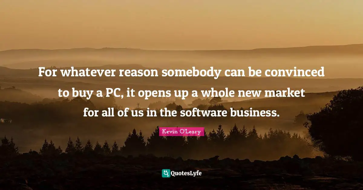 For whatever reason somebody can be convinced to buy a PC, it opens up a whole new market for all of us in the software business.
