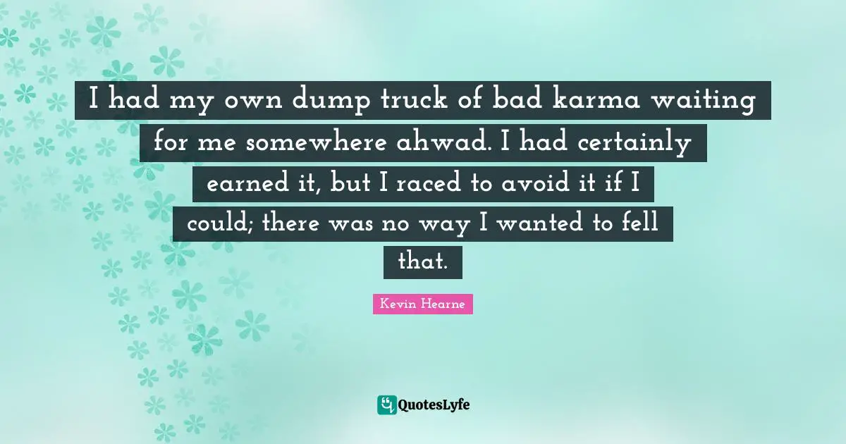 I had my own dump truck of bad karma waiting for me somewhere ahwad. I had certainly earned it, but I raced to avoid it if I could; there was no way I wanted to fell that.