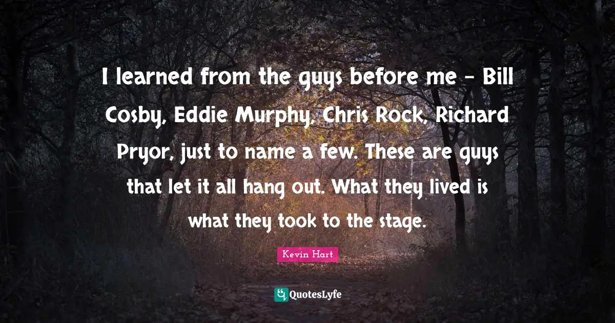 I learned from the guys before me - Bill Cosby, Eddie Murphy, Chris Rock, Richard Pryor, just to name a few. These are guys that let it all hang out. What they lived is what they took to the stage.