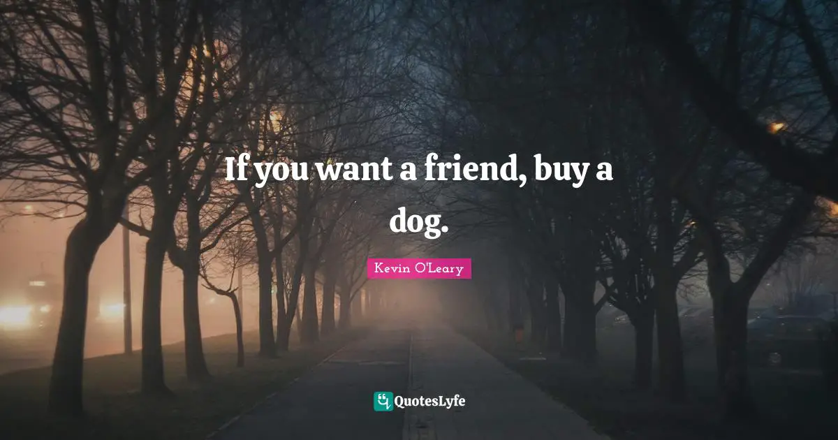 If you want a friend, buy a dog.