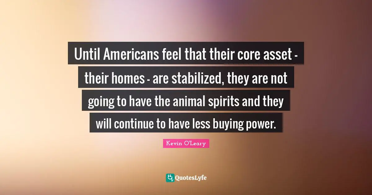 Until Americans feel that their core asset - their homes - are stabilized, they are not going to have the animal spirits and they will continue to have less buying power.