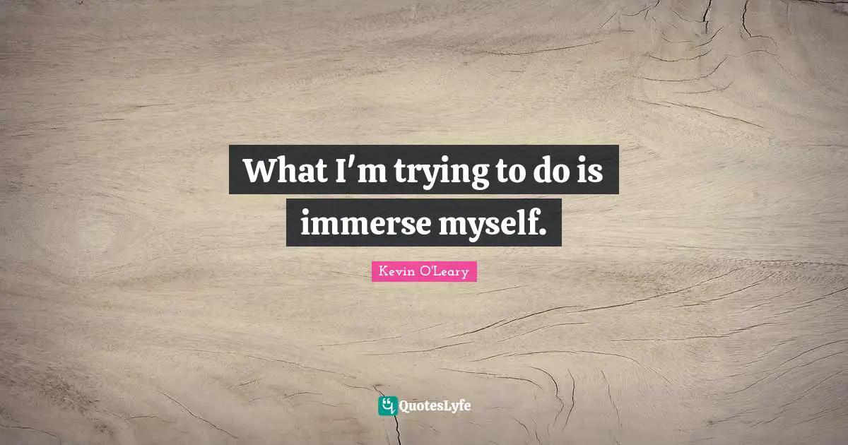 What I'm trying to do is immerse myself.