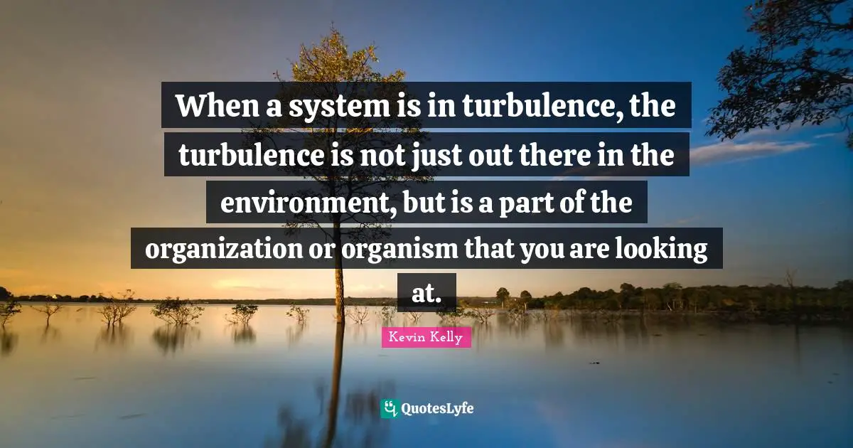 When a system is in turbulence, the turbulence is not just out there in the environment, but is a part of the organization or organism that you are looking at.