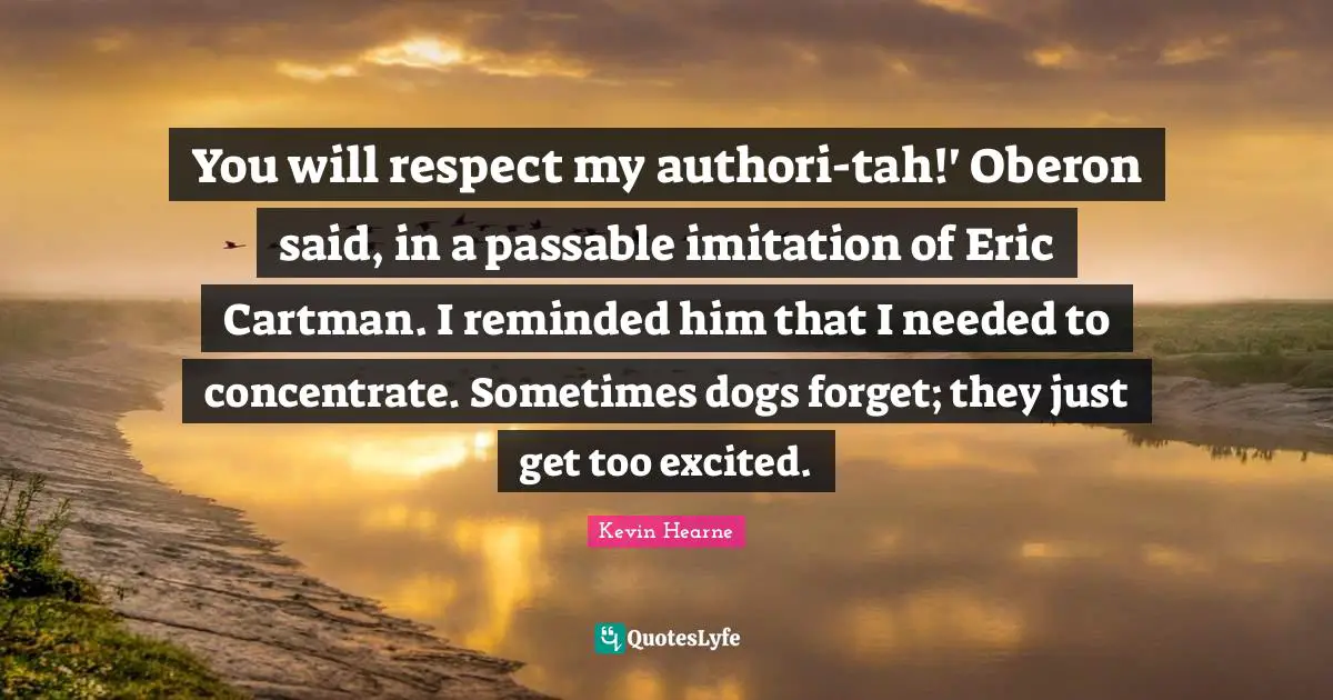 You will respect my authori-tah!' Oberon said, in a passable imitation of Eric Cartman. I reminded him that I needed to concentrate. Sometimes dogs forget; they just get too excited.