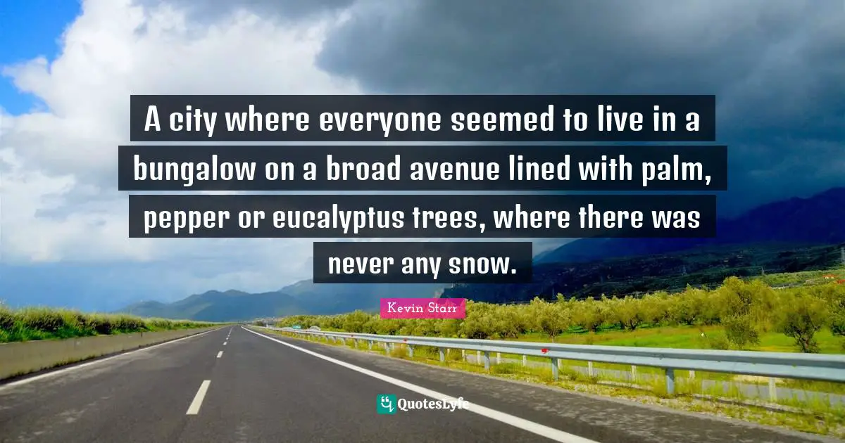 A city where everyone seemed to live in a bungalow on a broad avenue lined with palm, pepper or eucalyptus trees, where there was never any snow.