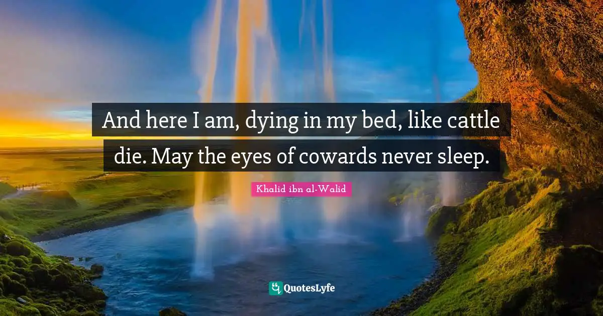 Khalid ibn al-Walid Quotes: And here I am, dying in my bed, like cattle die. May the eyes of cowards never sleep.