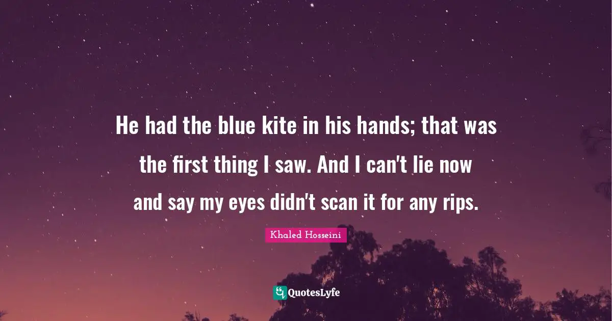He had the blue kite in his hands; that was the first thing I saw. And I can't lie now and say my eyes didn't scan it for any rips.