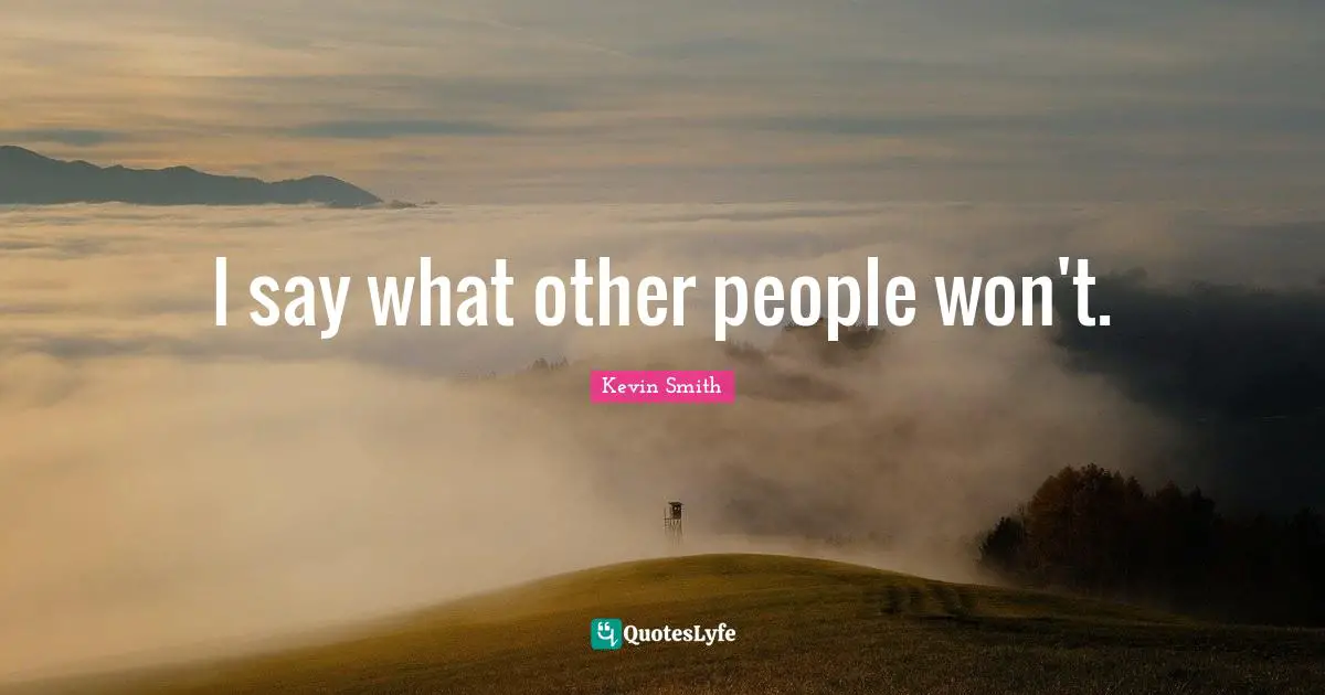 I say what other people won't.