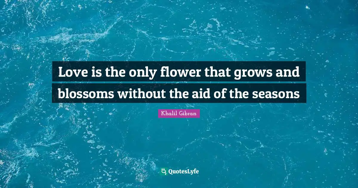 Flower Quotes: "Love is the only flower that grows and blossoms without the aid of the seasons"