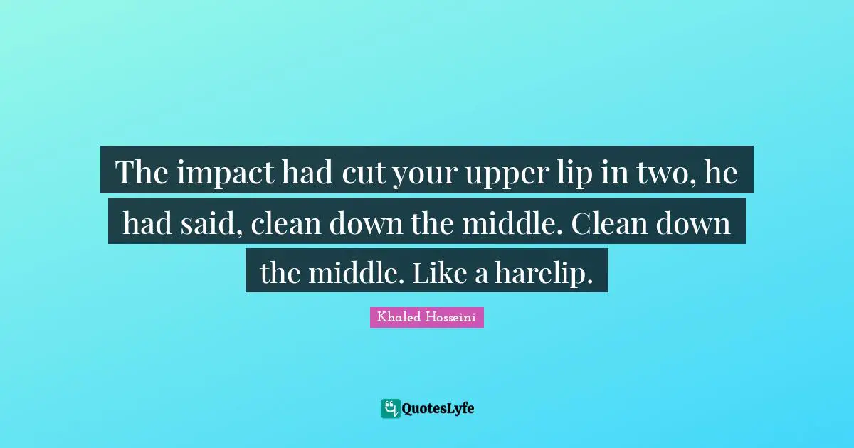 The impact had cut your upper lip in two, he had said, clean down the middle. Clean down the middle. Like a harelip.