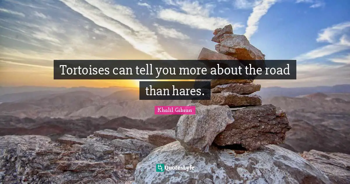 Tortoises can tell you more about the road than hares.