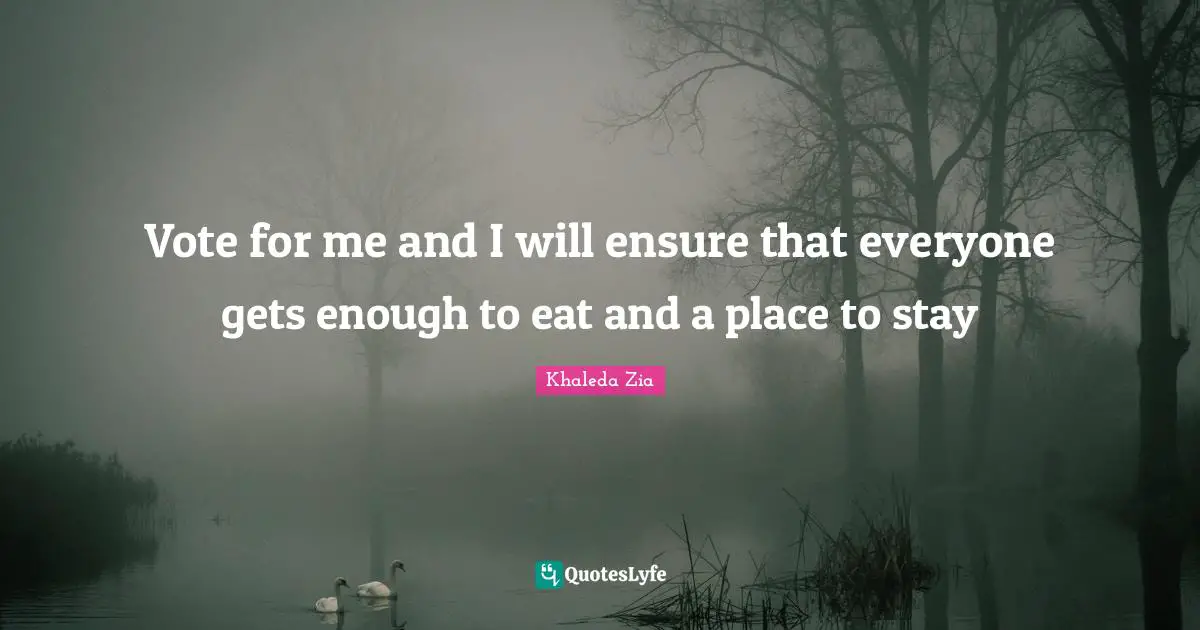 Vote for me and I will ensure that everyone gets enough to eat and a place to stay