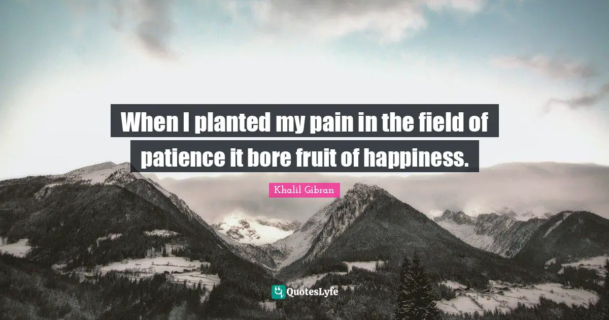 Fruit Quotes: "When I planted my pain in the field of patience it bore fruit of happiness."