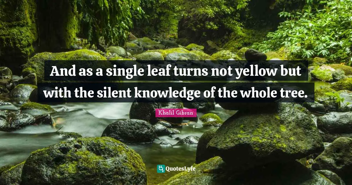 And as a single leaf turns not yellow but with the silent knowledge of the whole tree.