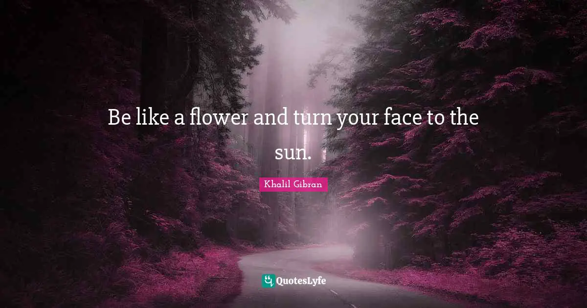 Be like a flower and turn your face to the sun.