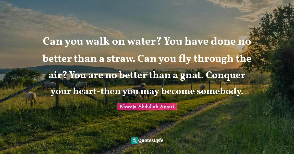 Gnats Quotes: "Can you walk on water? You have done no better than a straw. Can you fly through the air? You are no better than a gnat. Conquer your heart-then you may become somebody."