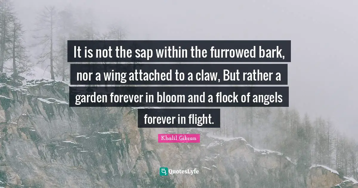 It is not the sap within the furrowed bark, nor a wing attached to a claw, But rather a garden forever in bloom and a flock of angels forever in flight.