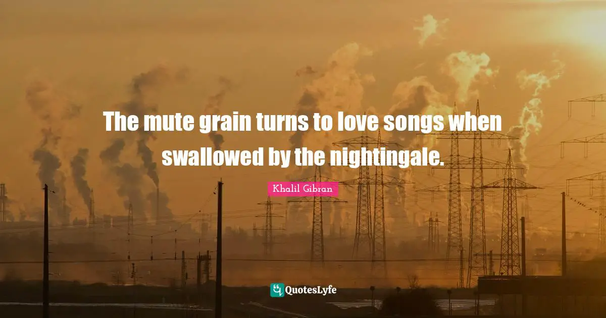 The mute grain turns to love songs when swallowed by the nightingale.