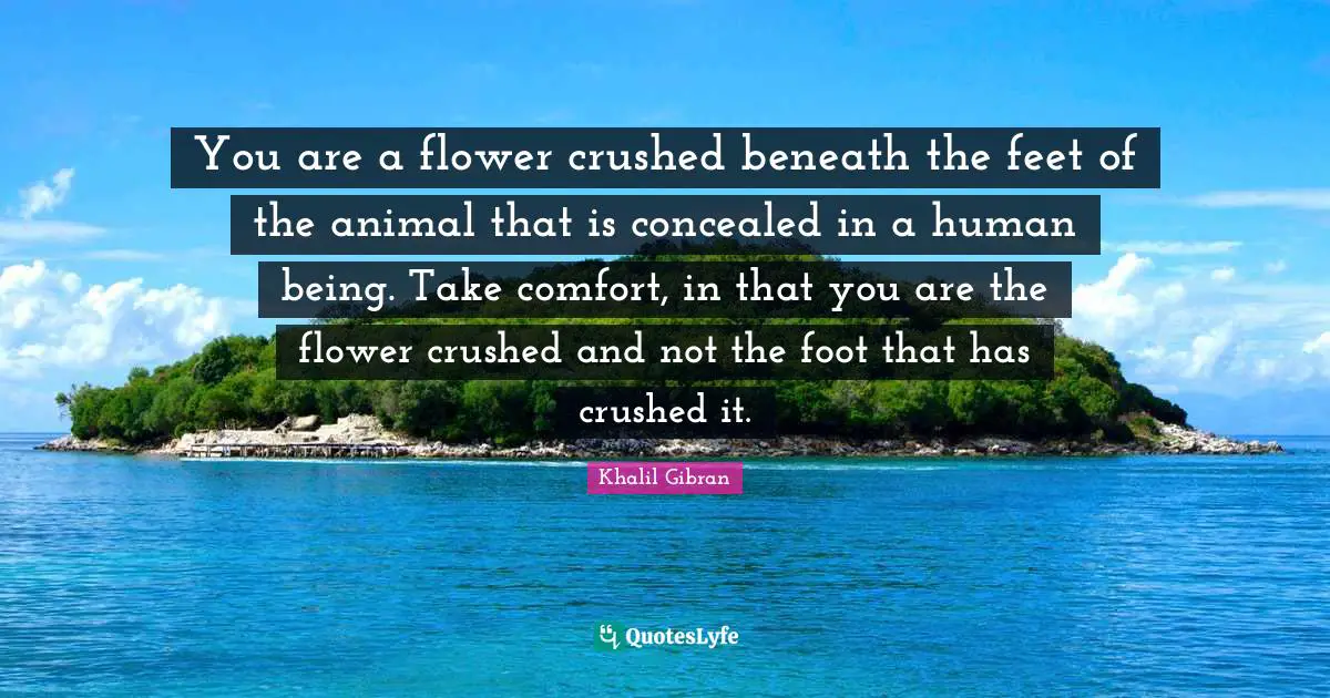 You are a flower crushed beneath the feet of the animal that is concealed in a human being. Take comfort, in that you are the flower crushed and not the foot that has crushed it.