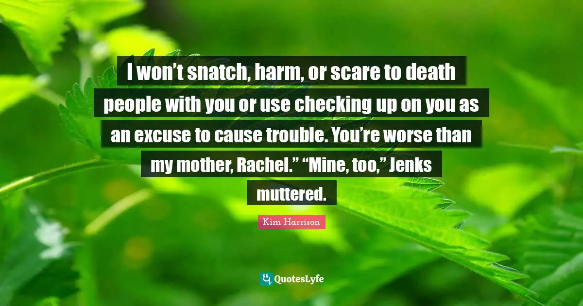 I won’t snatch, harm, or scare to death people with you or use checking up on you as an excuse to cause trouble. You’re worse than my mother, Rachel.” “Mine, too,” Jenks muttered.