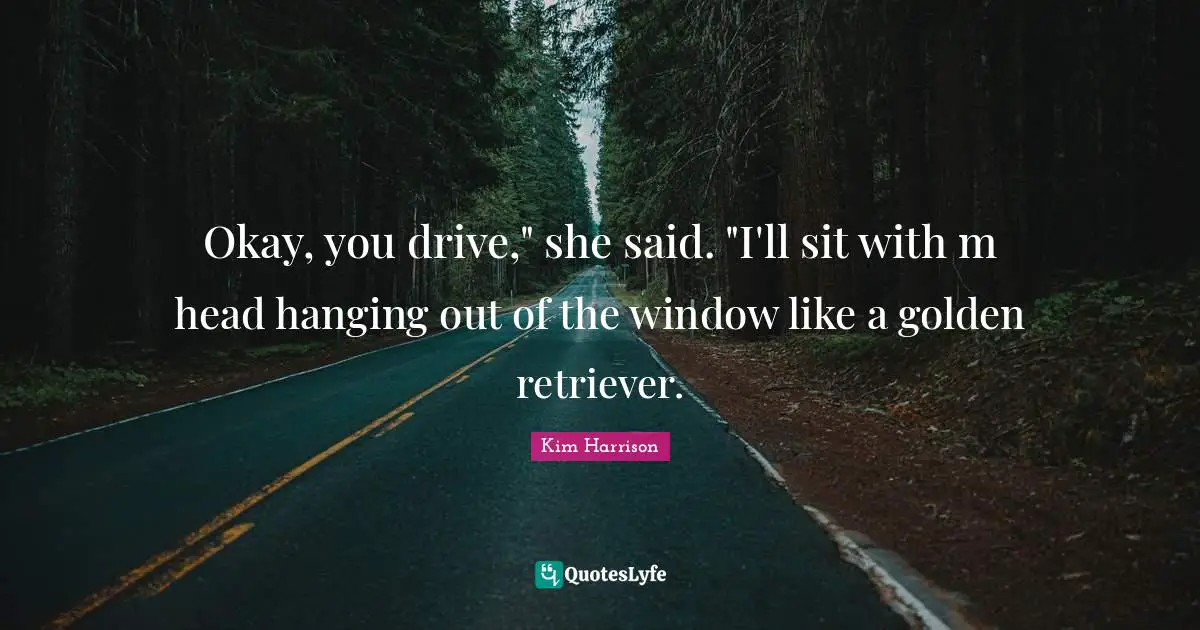 Okay, you drive," she said. "I'll sit with m head hanging out of the window like a golden retriever.