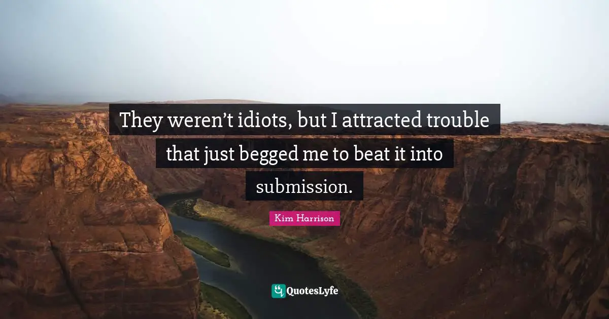 They weren’t idiots, but I attracted trouble that just begged me to beat it into submission.
