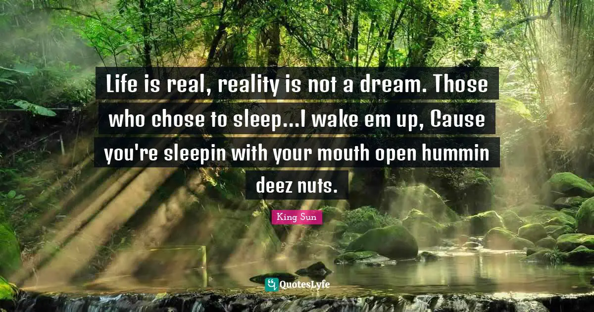 Life is real, reality is not a dream. Those who chose to sleep...I wake em up, Cause you're sleepin with your mouth open hummin deez nuts.