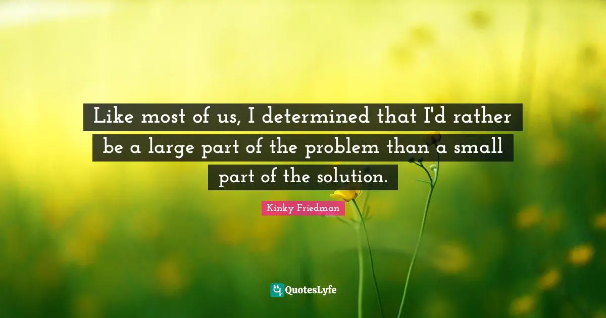 Like most of us, I determined that I'd rather be a large part of the problem than a small part of the solution.