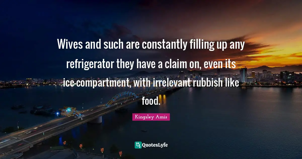 Wives and such are constantly filling up any refrigerator they have a claim on, even its ice-compartment, with irrelevant rubbish like food.