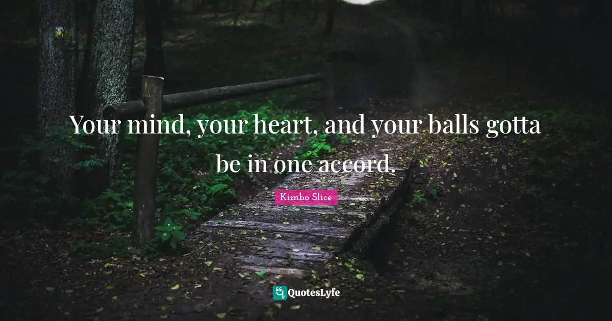 Balls Quotes: "Your mind, your heart, and your balls gotta be in one accord."