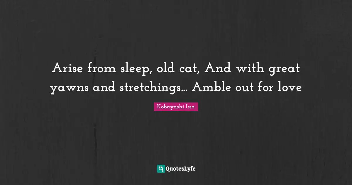 Arise from sleep, old cat, And with great yawns and stretchings... Amble out for love