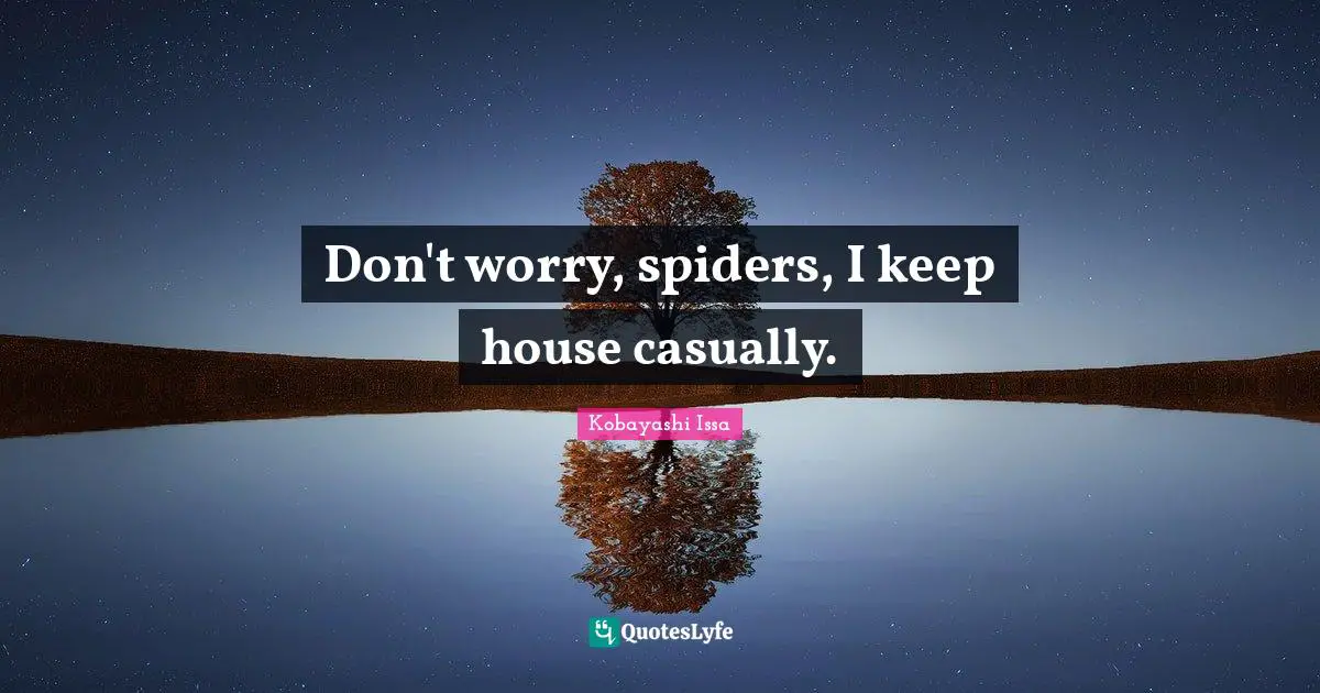 Don't worry, spiders, I keep house casually.