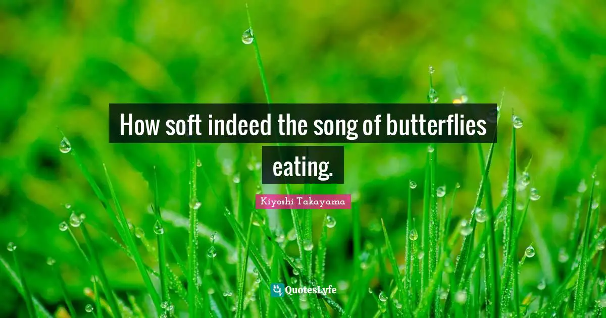 How soft indeed the song of butterflies eating.
