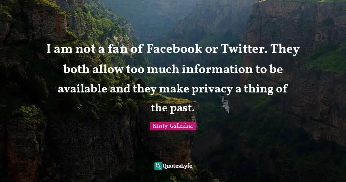 I am not a fan of Facebook or Twitter. They both allow too much information to be available and they make privacy a thing of the past.
