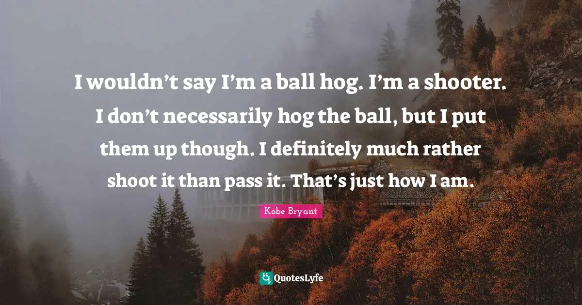 Hog Quotes: "I wouldn’t say I’m a ball hog. I’m a shooter. I don’t necessarily hog the ball, but I put them up though. I definitely much rather shoot it than pass it. That’s just how I am."