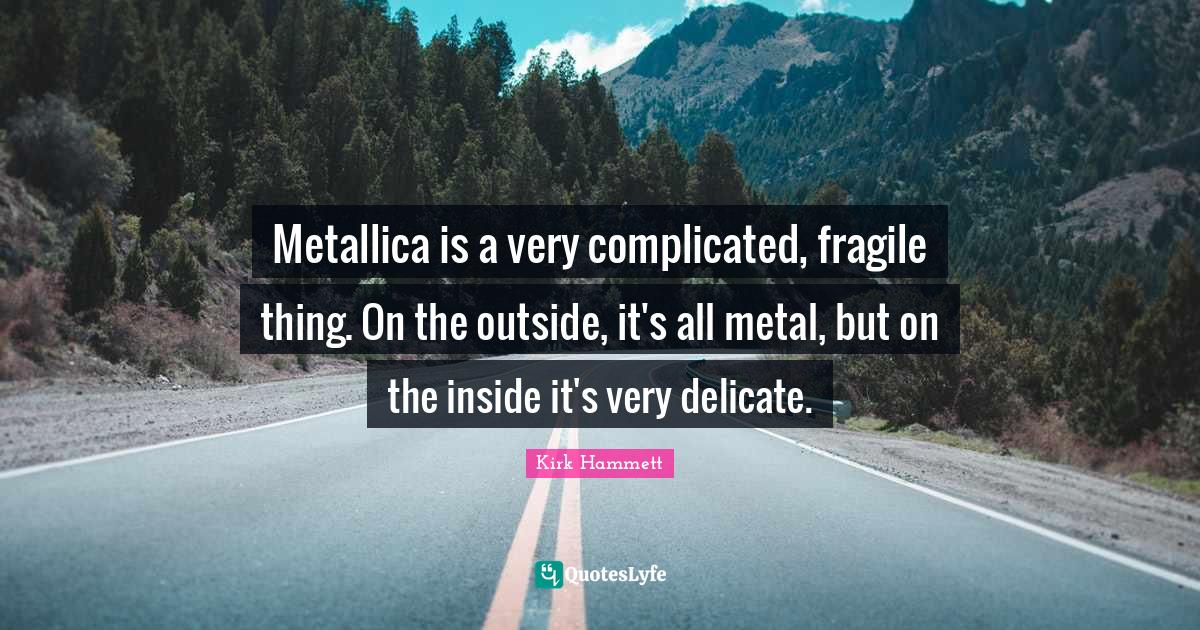 Metallica is a very complicated, fragile thing. On the outside, it's a