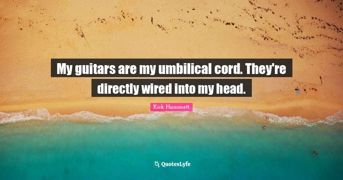 My guitars are my umbilical cord. They're directly wired into my head