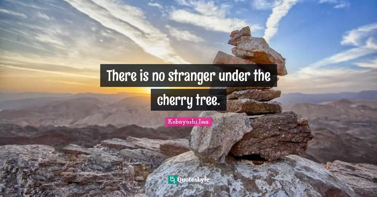 Kobayashi Issa Quotes: "There is no stranger under the cherry tree."