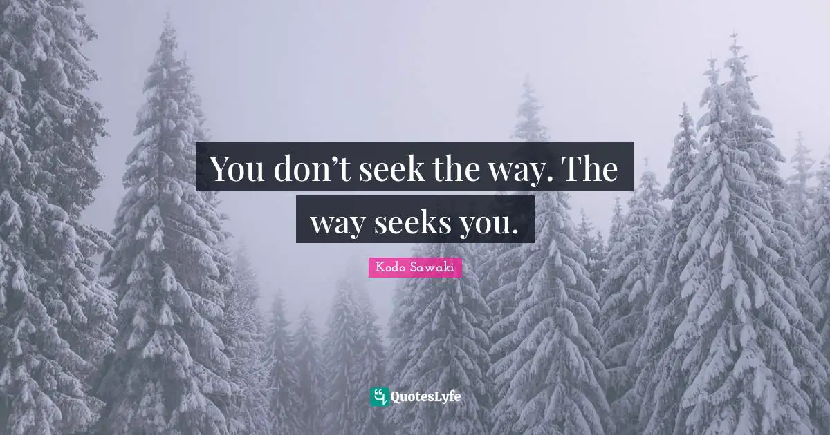 You don’t seek the way. The way seeks you.