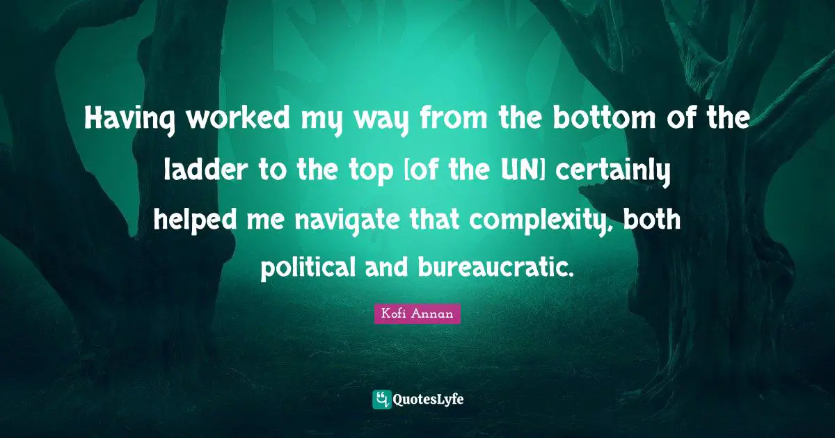 Having worked my way from the bottom of the ladder to the top [of the UN] certainly helped me navigate that complexity, both political and bureaucratic.