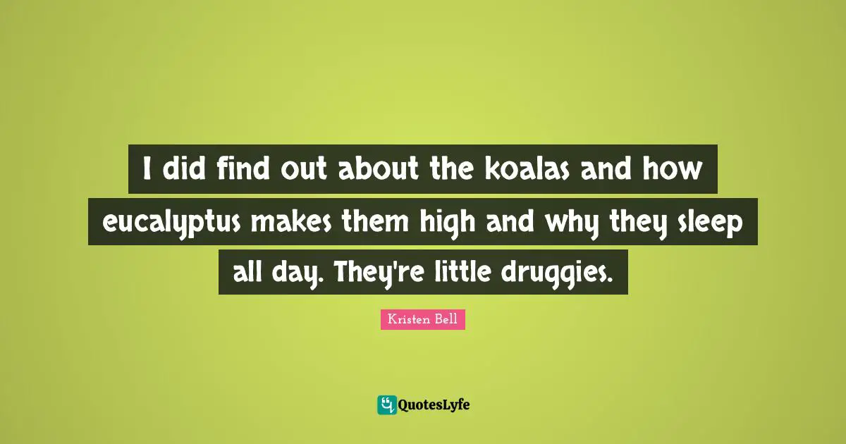 Kristen Bell Quotes: "I did find out about the koalas and how eucalyptus makes them high and why they sleep all day. They're little druggies."