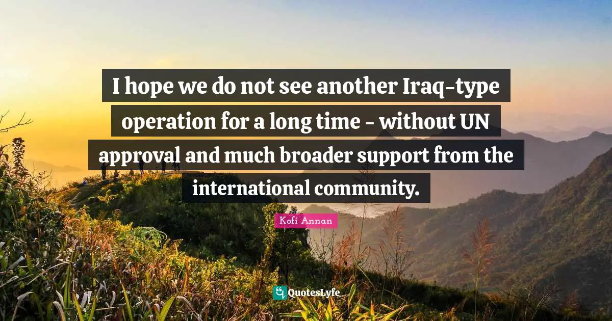 I hope we do not see another Iraq-type operation for a long time - without UN approval and much broader support from the international community.